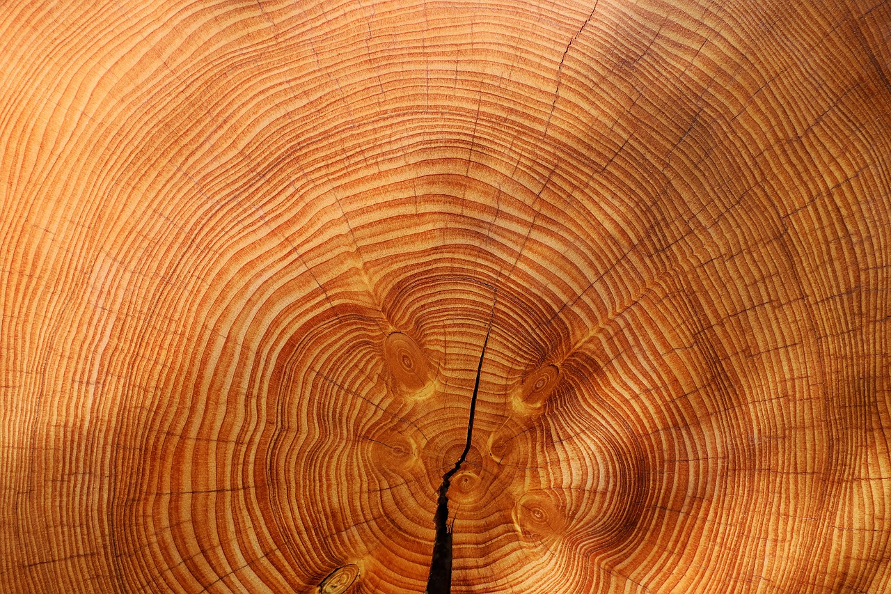 Het gebruik van duurzaam hout rondom je woning voordelig voor jou én het milieu